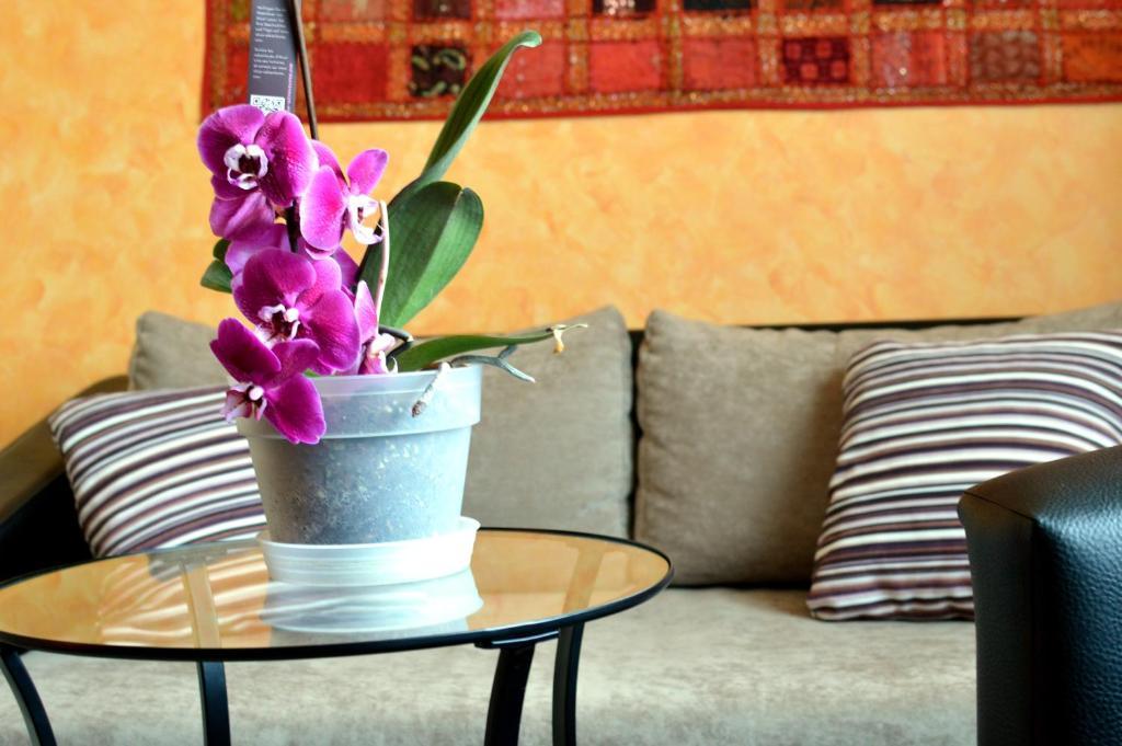 Bed and Breakfast Flamingo Vendeghaz Эгер Экстерьер фото