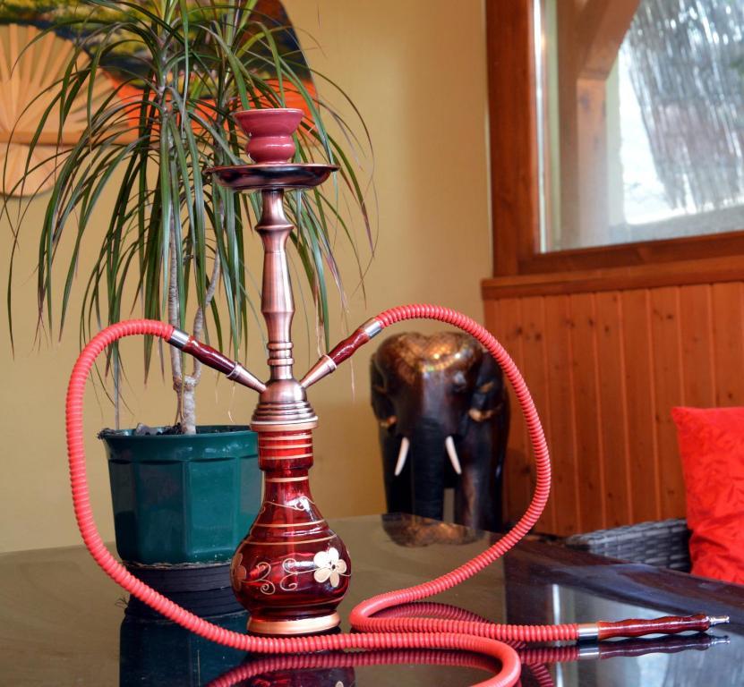 Bed and Breakfast Flamingo Vendeghaz Эгер Экстерьер фото