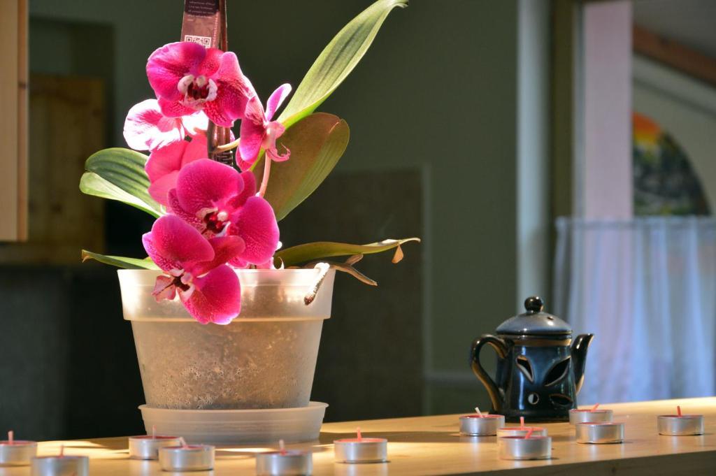 Bed and Breakfast Flamingo Vendeghaz Эгер Экстерьер фото